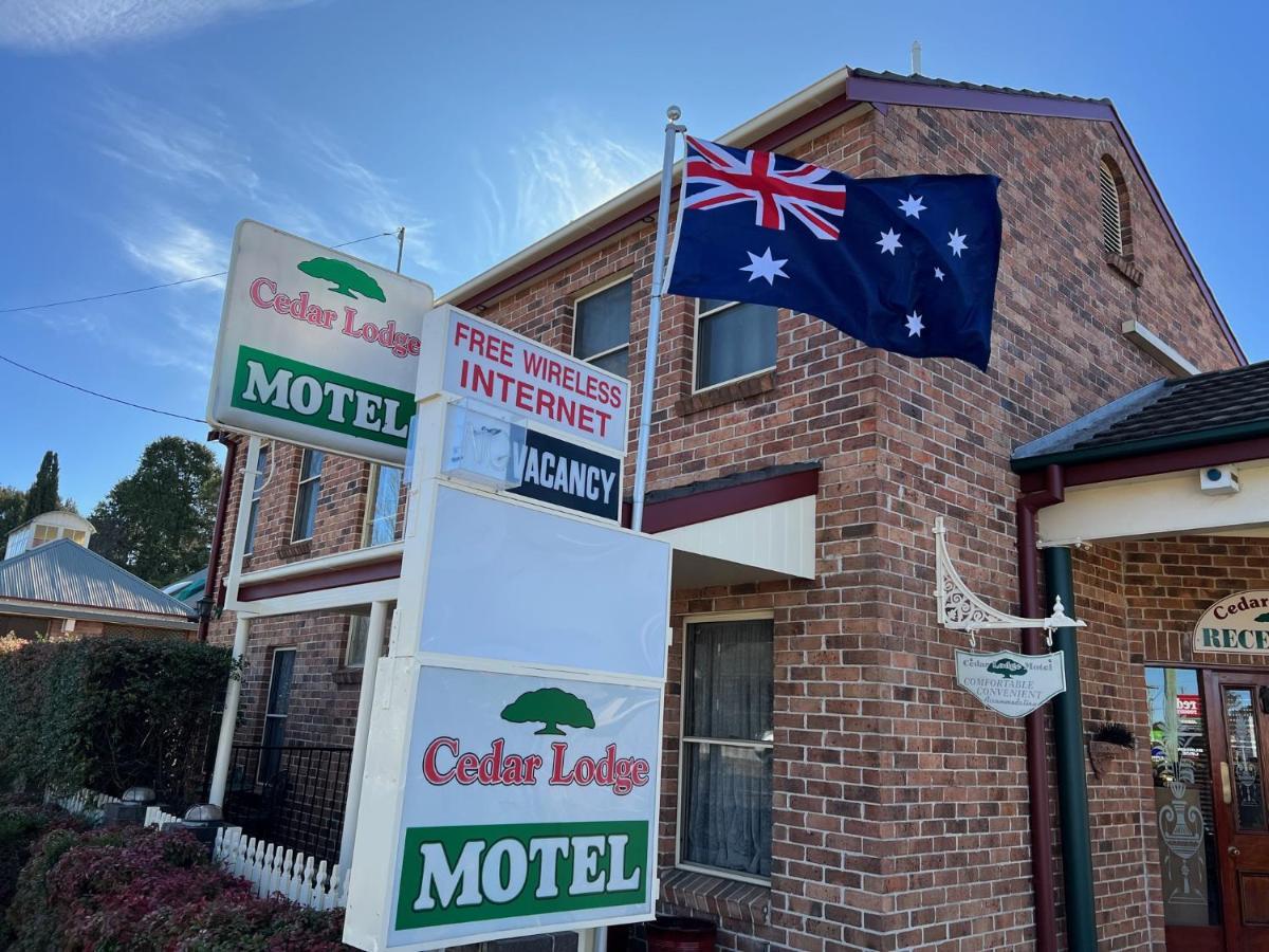 Cedar Lodge Motel Armidale Exteriör bild