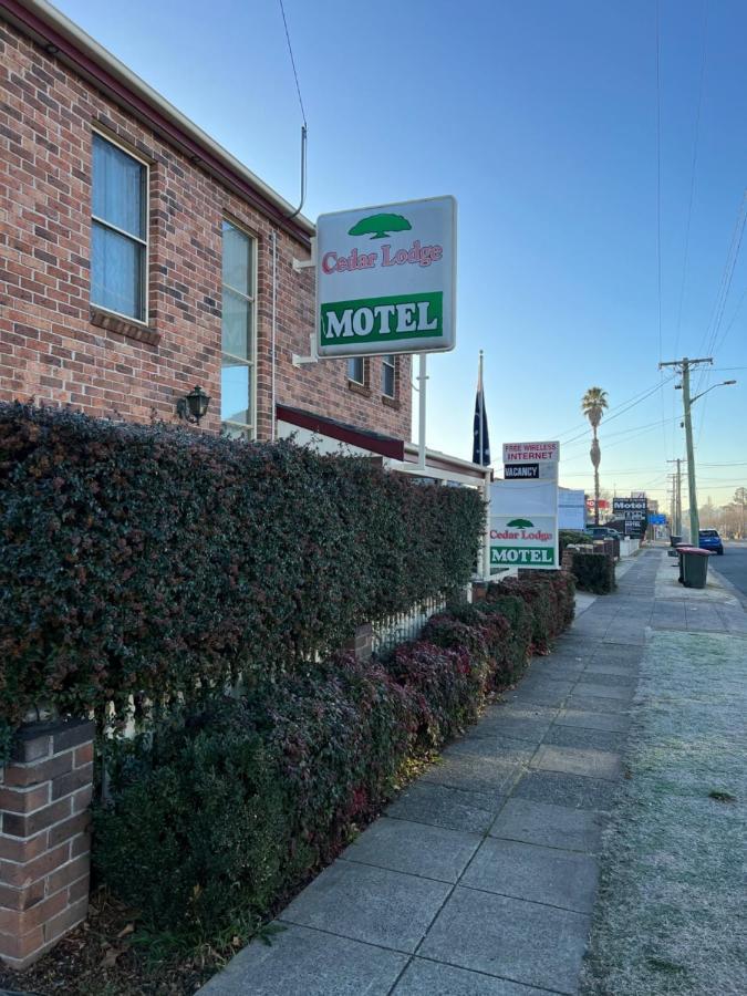 Cedar Lodge Motel Armidale Exteriör bild
