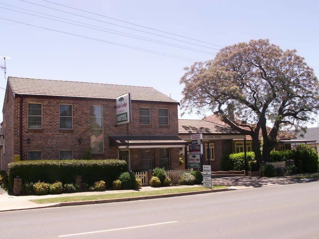 Cedar Lodge Motel Armidale Exteriör bild